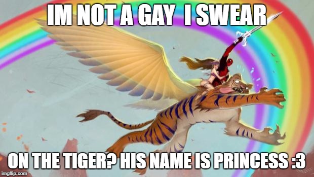 Deadpool on a flying tiger | IM NOT A GAY  I SWEAR; ON THE TIGER? HIS NAME IS PRINCESS :3 | image tagged in deadpool on a flying tiger | made w/ Imgflip meme maker