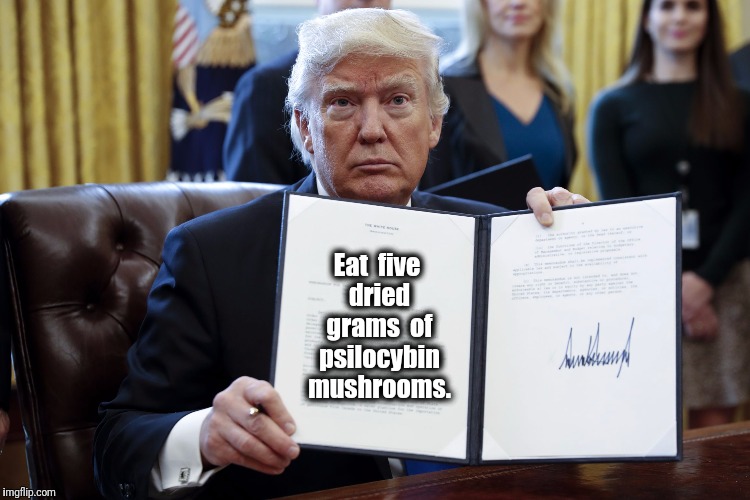 The Terrance Mckenna Strategy  | Eat  five  dried  grams  of psilocybin  mushrooms. | image tagged in donald trump executive order,donald trump,pink fluffy unicorns dancing on rainbows | made w/ Imgflip meme maker
