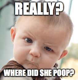 REALLY? WHERE DID SHE POOP? | made w/ Imgflip meme maker