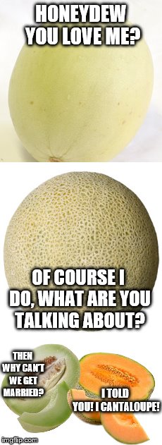 They're in quite a pickle | HONEYDEW YOU LOVE ME? OF COURSE I DO, WHAT ARE YOU TALKING ABOUT? THEN WHY CAN'T WE GET MARRIED? I TOLD YOU! I CANTALOUPE! | image tagged in funny,memes | made w/ Imgflip meme maker