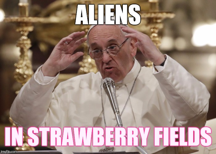 Memes, Pope Aliens | ALIENS IN STRAWBERRY FIELDS | image tagged in memes pope aliens | made w/ Imgflip meme maker