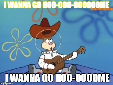 I wanna go home | I WANNA GO HOO-OOO-OOOOOOME; I WANNA GO HOO-OOOOME | image tagged in spongebob,sandy cheeks,sandy cheeks cowboy hat | made w/ Imgflip meme maker