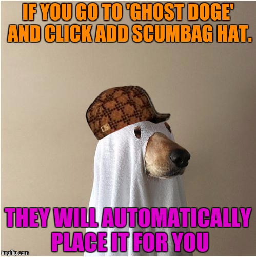 Ghost Doge | IF YOU GO TO 'GHOST DOGE' AND CLICK ADD SCUMBAG HAT. THEY WILL AUTOMATICALLY PLACE IT FOR YOU | image tagged in ghost doge,scumbag | made w/ Imgflip meme maker