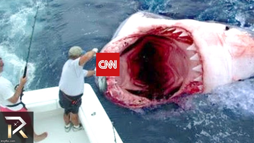 Cheap bait | image tagged in cnn,shark,memes,funny | made w/ Imgflip meme maker