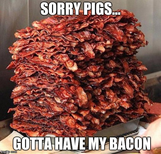 bacon | SORRY PIGS... GOTTA HAVE MY BACON | image tagged in bacon | made w/ Imgflip meme maker