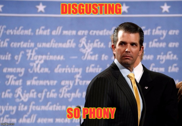 Disgusting Don | DISGUSTING; SO PHONY | image tagged in trump,traitor,treason,donald trump jr | made w/ Imgflip meme maker