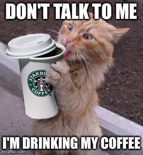 DON'T TALK TO ME; I'M DRINKING MY COFFEE | image tagged in cat drinking coffee | made w/ Imgflip meme maker