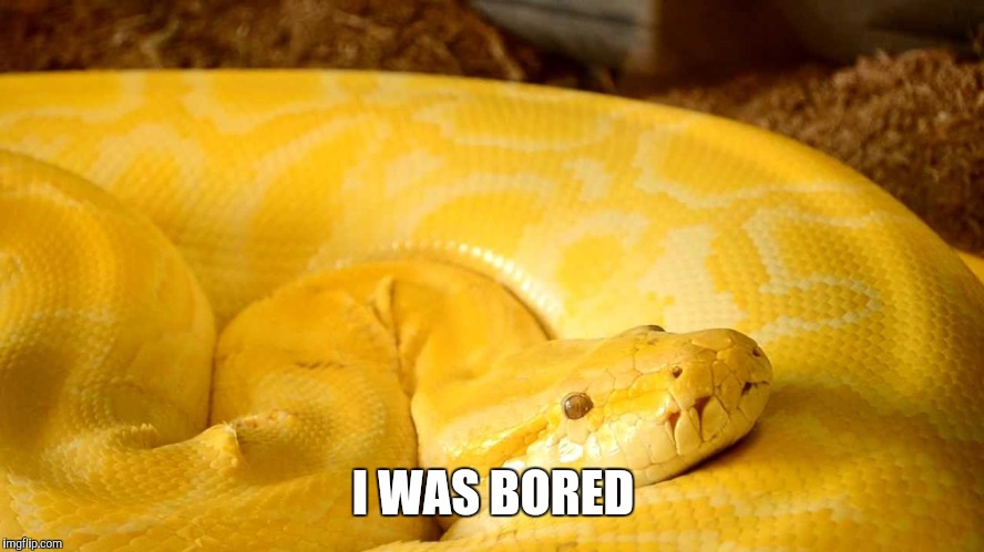 I WAS BORED | made w/ Imgflip meme maker