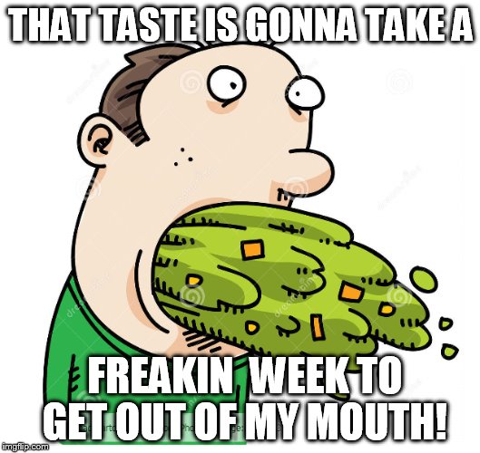 THAT TASTE IS GONNA TAKE A FREAKIN  WEEK TO GET OUT OF MY MOUTH! | made w/ Imgflip meme maker