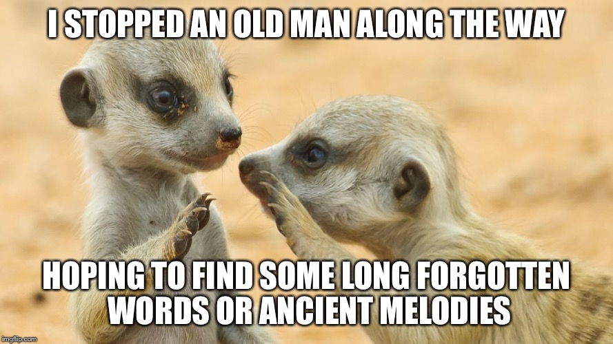 I STOPPED AN OLD MAN ALONG THE WAY; HOPING TO FIND SOME LONG FORGOTTEN WORDS OR ANCIENT MELODIES | image tagged in meerkats | made w/ Imgflip meme maker
