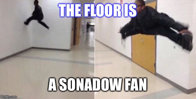 The floor is | THE FLOOR IS; A SONADOW FAN | image tagged in the floor is | made w/ Imgflip meme maker