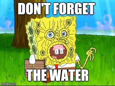 DON'T FORGET THE WATER | made w/ Imgflip meme maker