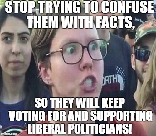 STOP TRYING TO CONFUSE THEM WITH FACTS, SO THEY WILL KEEP VOTING FOR AND SUPPORTING LIBERAL POLITICIANS! | made w/ Imgflip meme maker