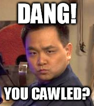 Dang! You cawled? | DANG! YOU CAWLED? | image tagged in dang,canada | made w/ Imgflip meme maker