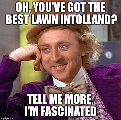 Creepy Condescending Wonka Meme | OH, YOU'VE GOT THE BEST LAWN INTOLLAND? TELL ME MORE, I'M FASCINATED | image tagged in memes,creepy condescending wonka | made w/ Imgflip meme maker