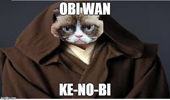 A warrior in the No Wars | OBI WAN; KE-NO-BI | image tagged in not found on imgflip | made w/ Imgflip meme maker