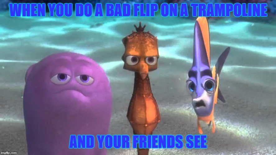 Pity Finding Nemo | WHEN YOU DO A BAD FLIP ON A TRAMPOLINE; AND YOUR FRIENDS SEE | image tagged in pity finding nemo | made w/ Imgflip meme maker