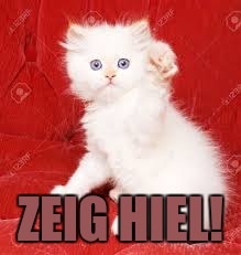 Nazi Kitty | ZEIG HIEL! | image tagged in nazi kitty | made w/ Imgflip meme maker