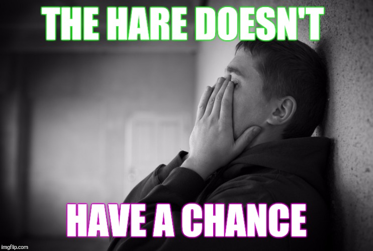 Having a hard time | THE HARE DOESN'T HAVE A CHANCE | image tagged in having a hard time | made w/ Imgflip meme maker