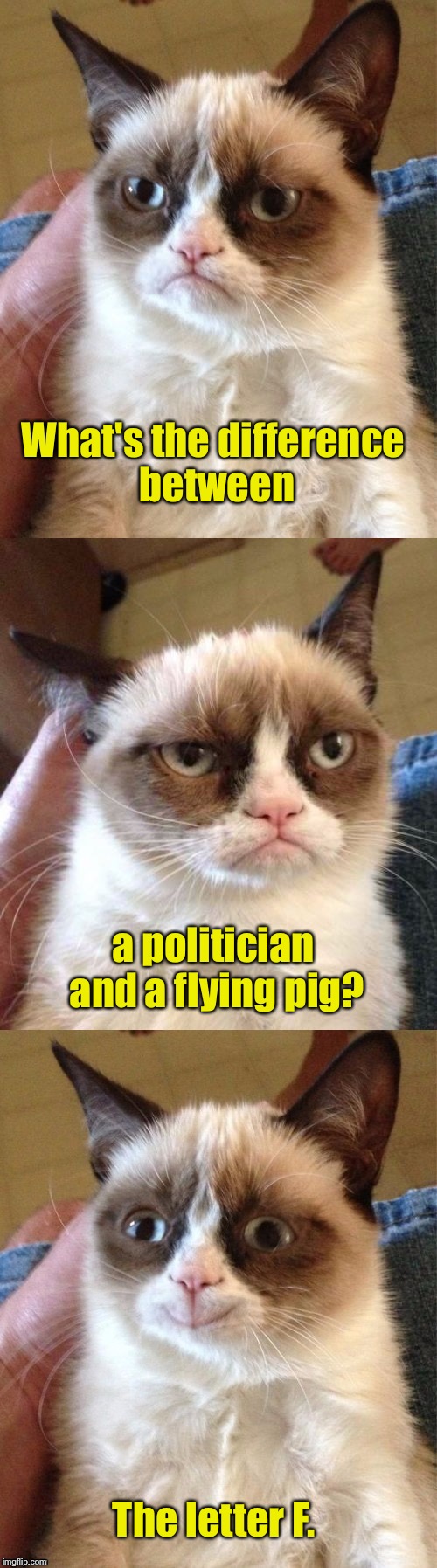 Political Pun Makes Even Grumpy Cat Smile | What's the difference between; a politician and a flying pig? The letter F. | image tagged in bad pun grumpy cat,memes,political meme,bad pun | made w/ Imgflip meme maker