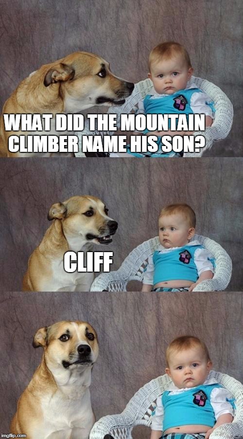 Dad Joke Dog Meme | WHAT DID THE MOUNTAIN CLIMBER NAME HIS SON? CLIFF | image tagged in memes,dad joke dog | made w/ Imgflip meme maker