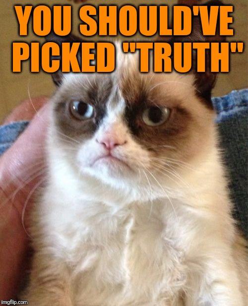 Grumpy Cat Meme | YOU SHOULD'VE PICKED "TRUTH" | image tagged in memes,grumpy cat | made w/ Imgflip meme maker