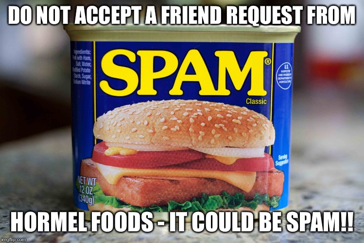 DO NOT ACCEPT A FRIEND REQUEST FROM; HORMEL FOODS - IT COULD BE SPAM!! | image tagged in spam,jaydenksmith,friendrequest | made w/ Imgflip meme maker