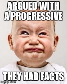 Crying baby | ARGUED WITH A PROGRESSIVE; THEY HAD FACTS | image tagged in crying baby | made w/ Imgflip meme maker