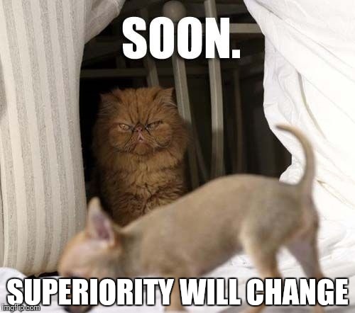 SUPERIORITY WILL CHANGE | made w/ Imgflip meme maker