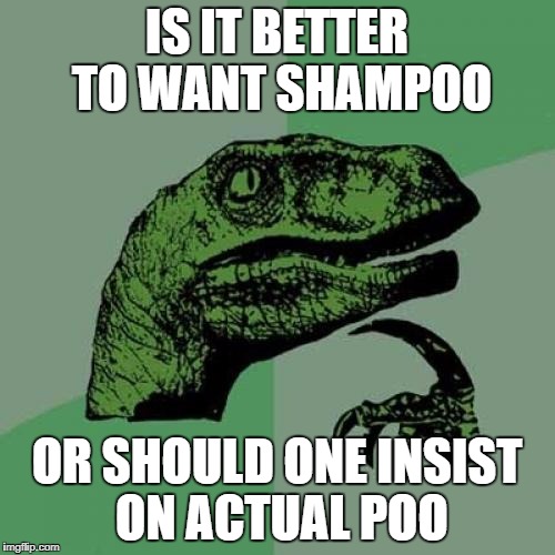 Philosoraptor Meme | IS IT BETTER TO WANT SHAMPOO OR SHOULD ONE INSIST ON ACTUAL POO | image tagged in memes,philosoraptor | made w/ Imgflip meme maker