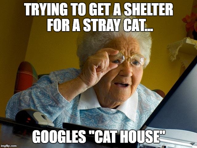 Grandma Finds The Internet | TRYING TO GET A SHELTER FOR A STRAY CAT... GOOGLES "CAT HOUSE" | image tagged in memes,grandma finds the internet | made w/ Imgflip meme maker