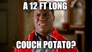 Memes, disgusted | A 12 FT LONG COUCH POTATO? | image tagged in memes disgusted | made w/ Imgflip meme maker