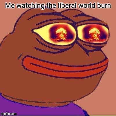 Me watching the liberal world burn | made w/ Imgflip meme maker