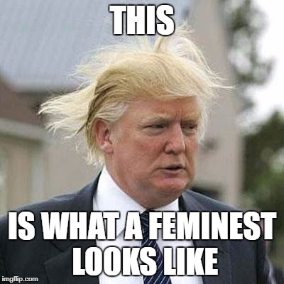 Donald Trump | THIS; IS WHAT A FEMINEST LOOKS LIKE | image tagged in donald trump | made w/ Imgflip meme maker