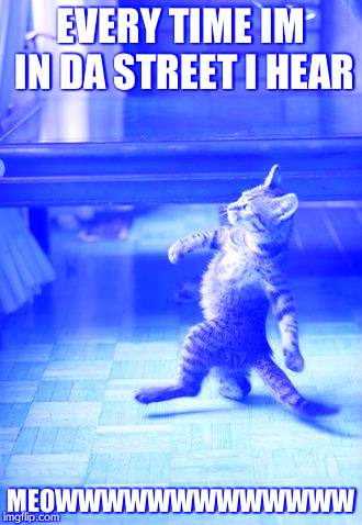 Cool Cat Stroll Meme | EVERY TIME IM IN DA STREET I HEAR; MEOWWWWWWWWWWWWW | image tagged in memes,cool cat stroll | made w/ Imgflip meme maker