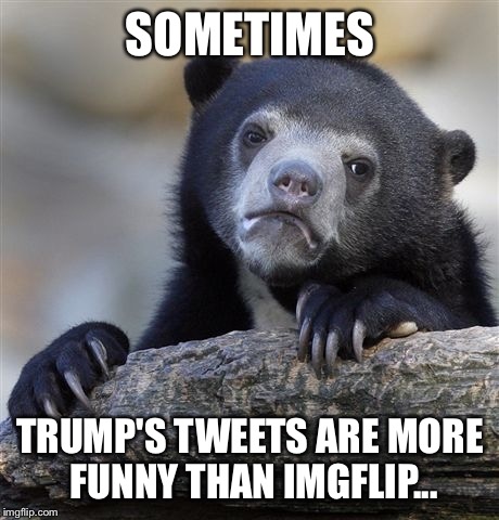 #FakeNews #FNN #MAGA  | SOMETIMES; TRUMP'S TWEETS ARE MORE FUNNY THAN IMGFLIP... | image tagged in memes,confession bear | made w/ Imgflip meme maker