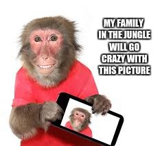 happy monkey | MY FAMILY IN THE JUNGLE WILL GO CRAZY WITH THIS PICTURE | image tagged in selfie | made w/ Imgflip meme maker