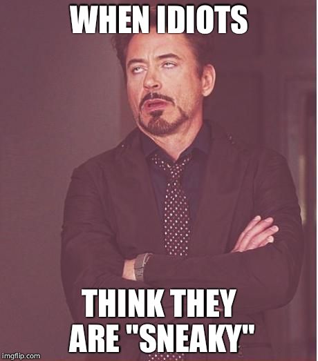 Face You Make Robert Downey Jr Meme | WHEN IDIOTS; THINK THEY ARE "SNEAKY" | image tagged in memes,face you make robert downey jr | made w/ Imgflip meme maker