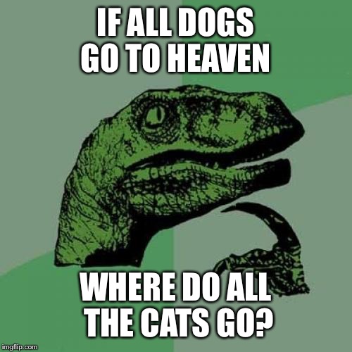 Philosoraptor | IF ALL DOGS GO TO HEAVEN; WHERE DO ALL THE CATS GO? | image tagged in memes,philosoraptor | made w/ Imgflip meme maker
