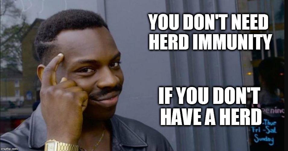 Wile E. Kayode  | YOU DON'T NEED HERD IMMUNITY; IF YOU DON'T HAVE A HERD | image tagged in kayode ewumi,herd immunity,vaccination,vaccine,vaccinate your kids,memes | made w/ Imgflip meme maker