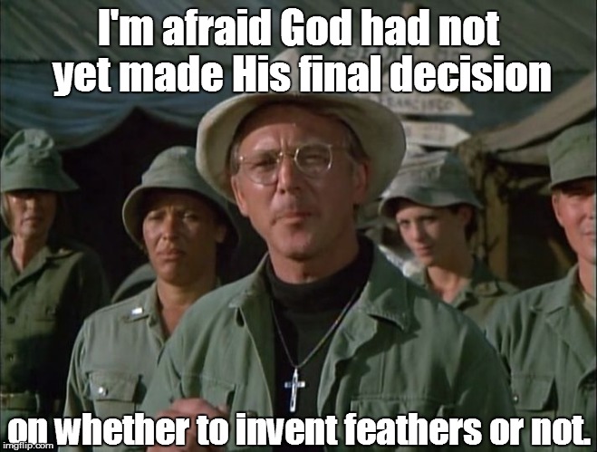 I'm afraid God had not yet made His final decision on whether to invent feathers or not. | made w/ Imgflip meme maker
