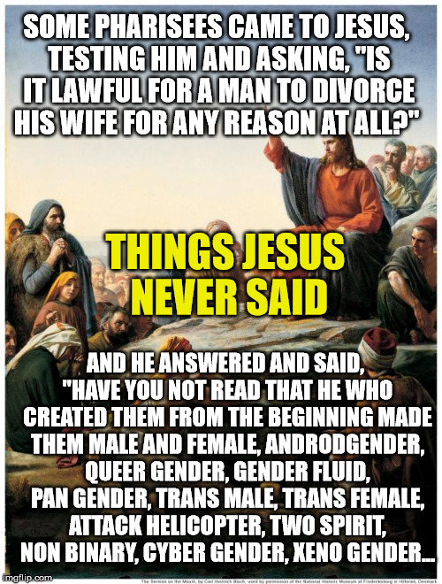 Things Jesus never said | SOME PHARISEES CAME TO JESUS, TESTING HIM AND ASKING, "IS IT LAWFUL FOR A MAN TO DIVORCE HIS WIFE FOR ANY REASON AT ALL?"; THINGS JESUS NEVER SAID; AND HE ANSWERED AND SAID, "HAVE YOU NOT READ THAT HE WHO CREATED THEM FROM THE BEGINNING MADE THEM MALE AND FEMALE, ANDRODGENDER, QUEER GENDER, GENDER FLUID, PAN GENDER, TRANS MALE, TRANS FEMALE, ATTACK HELICOPTER, TWO SPIRIT, NON BINARY, CYBER GENDER, XENO GENDER... | image tagged in things jesus never said,transgender,liberal logic,gender identity | made w/ Imgflip meme maker