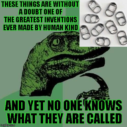 Philosoraptor Meme | THESE THINGS ARE WITHOUT A DOUBT ONE OF THE GREATEST INVENTIONS EVER MADE BY HUMAN KIND; AND YET NO ONE KNOWS WHAT THEY ARE CALLED | image tagged in memes,philosoraptor | made w/ Imgflip meme maker