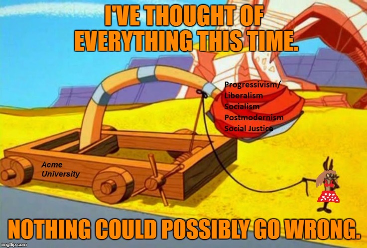Trans professor SJW Coyote will get it right | I'VE THOUGHT OF EVERYTHING THIS TIME. NOTHING COULD POSSIBLY GO WRONG. | image tagged in looney tunes,college liberal,sjw,transgender,progressive,memes | made w/ Imgflip meme maker