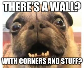 THERE'S A WALL? WITH CORNERS AND STUFF? | made w/ Imgflip meme maker