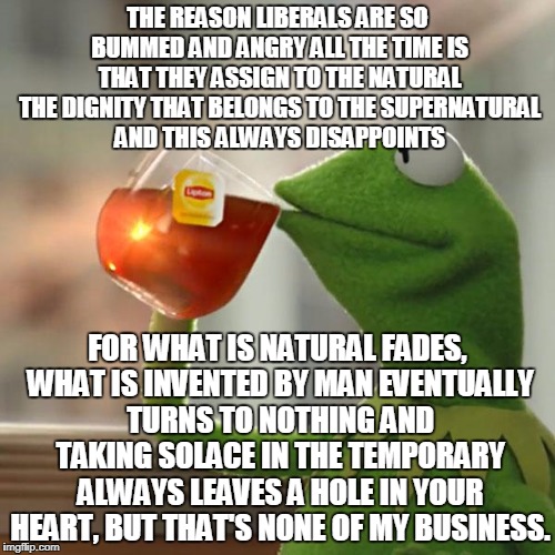 Kermit Wades Into The Deep | THE REASON LIBERALS ARE SO BUMMED AND ANGRY ALL THE TIME IS THAT THEY ASSIGN TO THE NATURAL THE DIGNITY THAT BELONGS TO THE SUPERNATURAL AND THIS ALWAYS DISAPPOINTS; FOR WHAT IS NATURAL FADES, WHAT IS INVENTED BY MAN EVENTUALLY TURNS TO NOTHING AND TAKING SOLACE IN THE TEMPORARY ALWAYS LEAVES A HOLE IN YOUR HEART, BUT THAT'S NONE OF MY BUSINESS. | image tagged in memes,but thats none of my business,kermit the frog | made w/ Imgflip meme maker