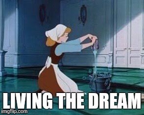 Cinderella Cleaning | LIVING THE DREAM | image tagged in cinderella cleaning | made w/ Imgflip meme maker