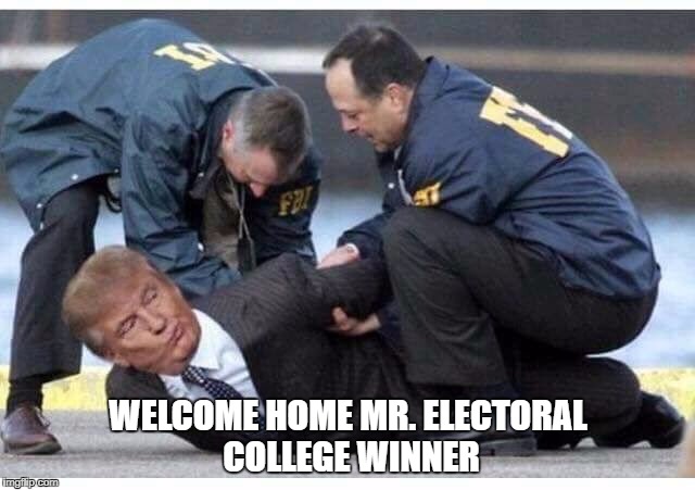 Can't Wait For THAT Perp Walk | WELCOME HOME MR. ELECTORAL COLLEGE WINNER | image tagged in trump russia collusion,treason,trump for prison | made w/ Imgflip meme maker