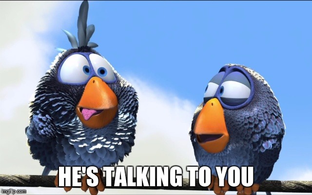 HE'S TALKING TO YOU | image tagged in blue birds | made w/ Imgflip meme maker