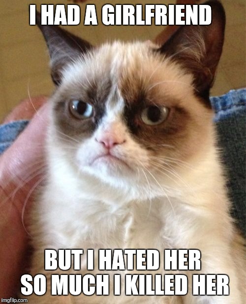 Grumpy Cat Meme | I HAD A GIRLFRIEND; BUT I HATED HER SO MUCH I KILLED HER | image tagged in memes,grumpy cat | made w/ Imgflip meme maker